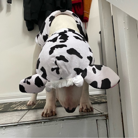 Adorable Doggie Costume - Picture 4 of 12